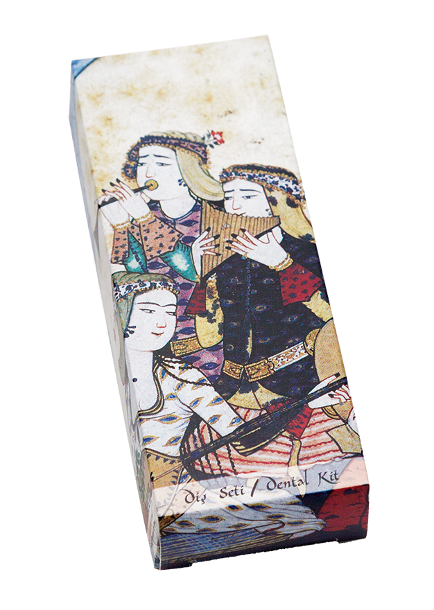 Diş Fırçası | DŞ 09